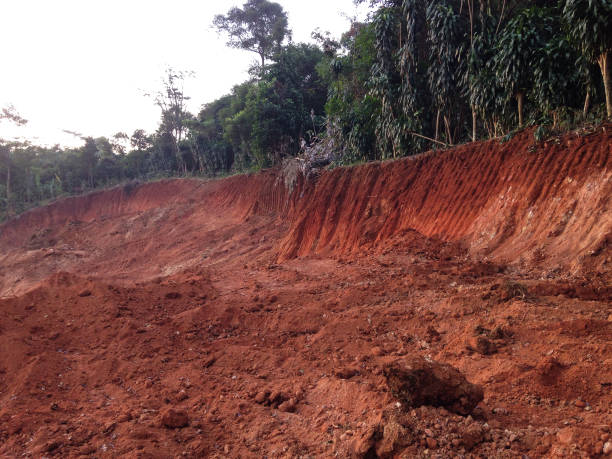 istock excavation in the forest 1333918661