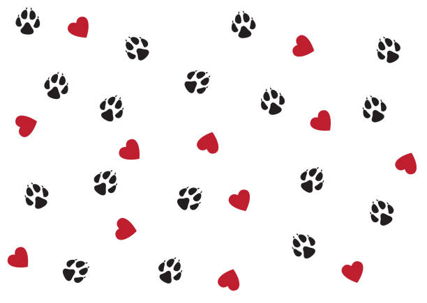 ilustrações, clipart, desenhos animados e ícones de fundo perfeito com corações e marca de pata de cachorro. ilustração vetorial preto, vermelho e branco. padrão para tecido, pijama. - tracing red pets dog