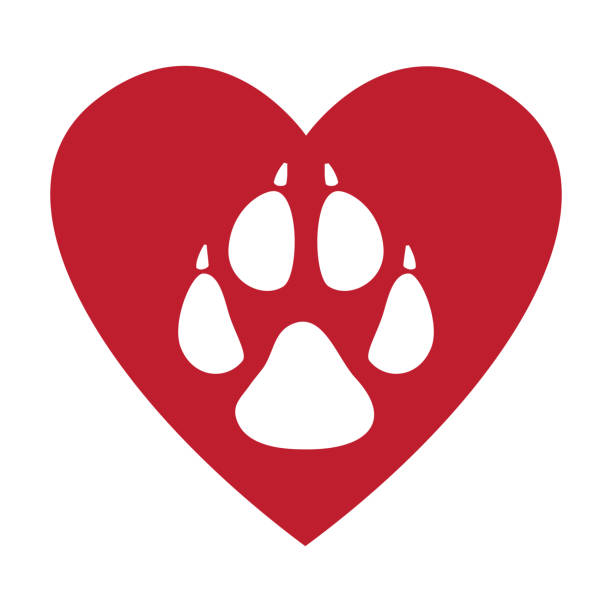 동물 발자국, 빨간색 및 흰색 벡터 일러스트레이션 - 빨간색 심장 모양에 개 발 인쇄. 나는 내 개를 사랑해요. 개 애호가를위한 개념. 스티커, 배너, 로고, 가방, 웹 사이트 및 티셔츠 - tracing red pets dog stock illustrations