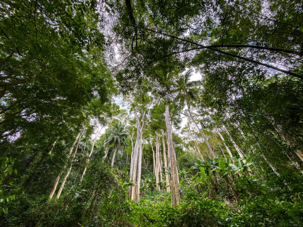 Biodiversity of Mayotte