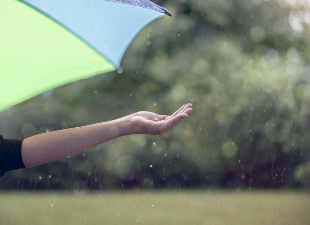 istock Umbrella and catching rain drops in nature background 1333923716