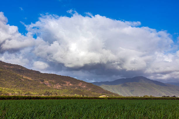 istock White tropical cloud forming over coastal hill range with green sugar cane fields 1333924922