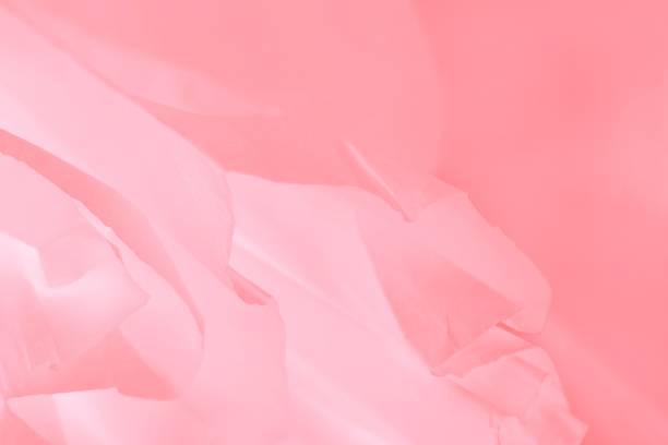 istock Pink coral color flying satin texture, abstract blurred background, gradient color 1333925177