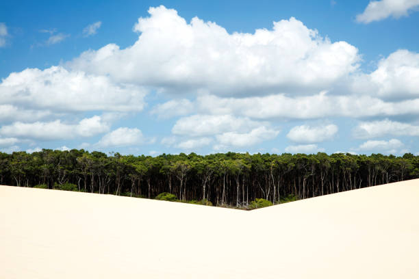 Lençóis Maranhenses National Park