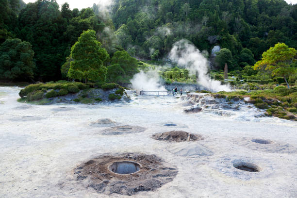 Cooking holes at the hot springs of Lake Furnas Hot springs and cooking holes at the edge of Lagoa das Furnas. fumarole photos stock pictures, royalty-free photos & images
