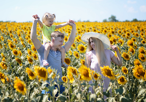 Mom, dad and a child sitting on dad's shoulders, in a field with sunflowers