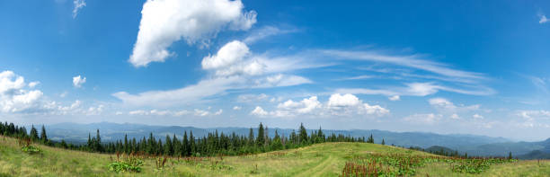 istock Beautiful summer landscape, mountain meadow among the mountains 1333943096