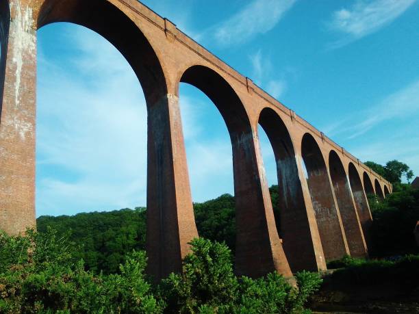 die bögen des larpool viaduct, river esk, ruswarp, whitby north yorkshire - esk river stock-fotos und bilder