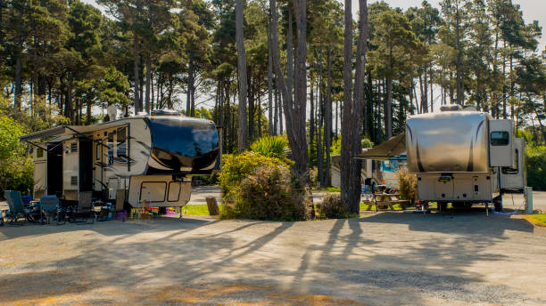 acampar en un remolque en los árboles - autocaravana fotografías e imágenes de stock