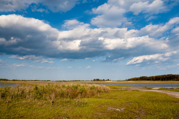 istock Salt marsh wetlands at Assateague Island National Seashore, MD 1333950988