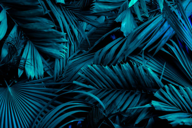 istock abstract green leaf texture, nature background, tropical leaf 1333950999