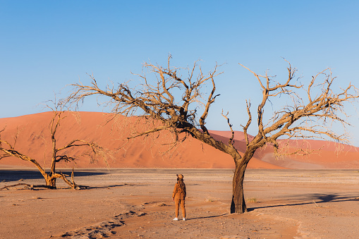 Young woman traveler in jumpsuit and hat meets sunny morning at Namib-Naukluft National park in Namibia< staying under the tree enjoying dramatic desert landscape with old sand dunes