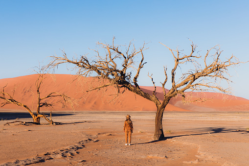 Young woman traveler in jumpsuit and hat meets sunny morning at Namib-Naukluft National park in Namibia< staying under the tree enjoying dramatic desert landscape with old sand dunes