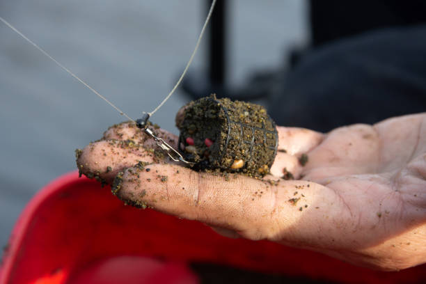 istock Feeder cage full of groundbait, worms, maggots pressented on hand. 1333954373