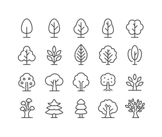 ilustrações, clipart, desenhos animados e ícones de ícones da árvore - série clássica de linhas - tree