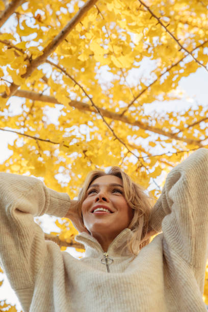 istock Bright colors of autumn 1333955852