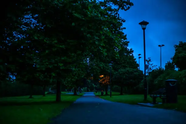 The image is of an orange glow from one single street light that is on just before it gets fully dark, the sky is of a velvety blue haze and the trees and park still show a green and muggy looking.