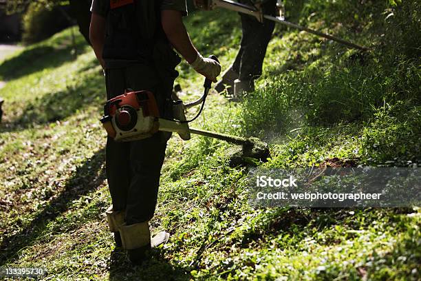 Foto de Mowing e mais fotos de stock de Cortar Grama - Cortar Grama, Crescido em Excesso, Gramado - Terra cultivada