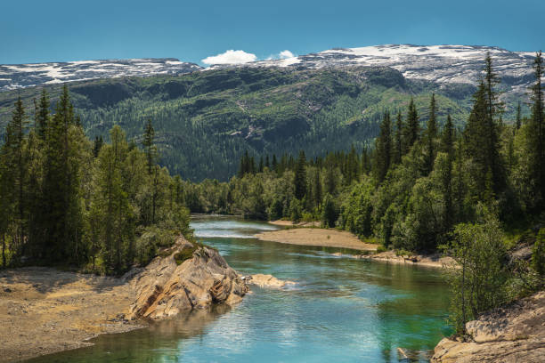 istock Scenic Summer Landscape with River and Mountains 1333959754