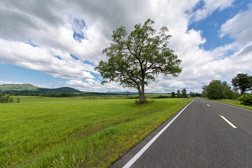 View of a road in perspective in summer in Essex County New York