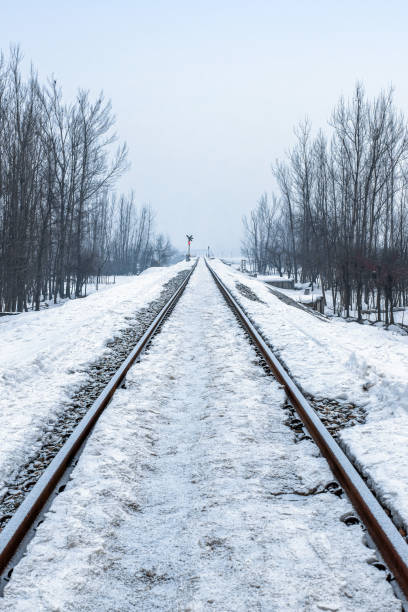 istock Snow covered Banihal – Baramulla train track after receiving seasons heavy snowfall 1333961316
