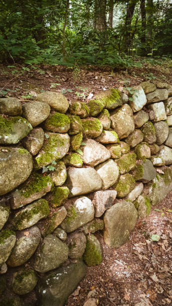 istock Moss covered stone wall in the autumn forest 1333965090
