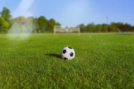 550+ Soccer Field Pictures | Download Free Images on Unsplash