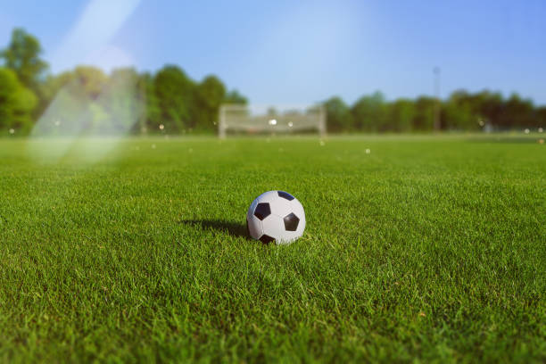 small soccer stadium in the sun stock photo