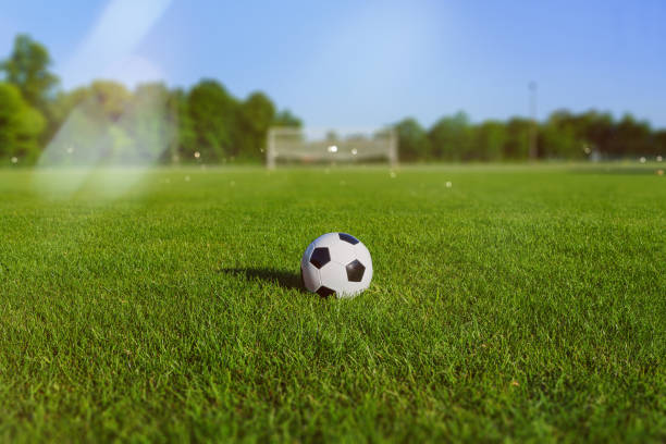 mały stadion piłkarski w słońcu - soccer field zdjęcia i obrazy z banku zdjęć