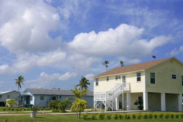 everglades city florida big cypress - 7583 imagens e fotografias de stock