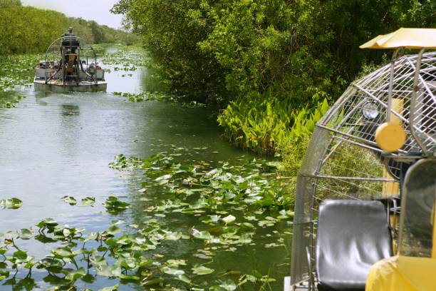 аэролодка в эверглейдс флорида биг кипарис - big cypress swamp national preserve стоковые фото и изображения