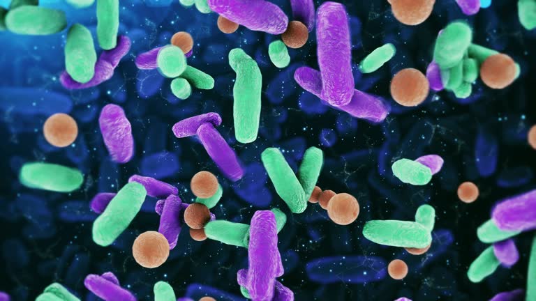 gut bacteria