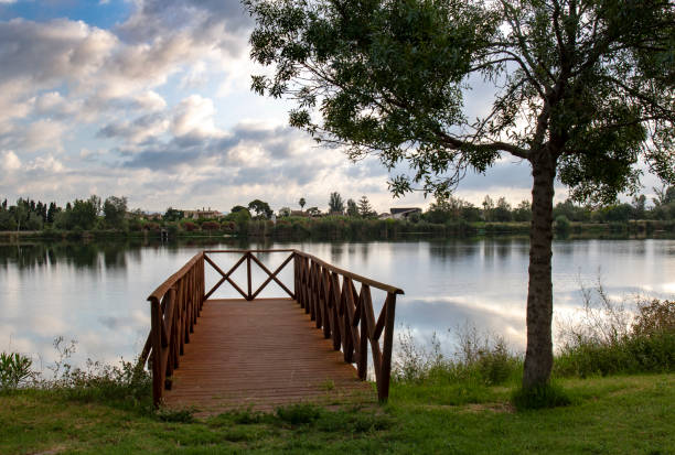 margem do rio ebro com a vila de deltebre ao fundo - cloud morning delta landscape - fotografias e filmes do acervo