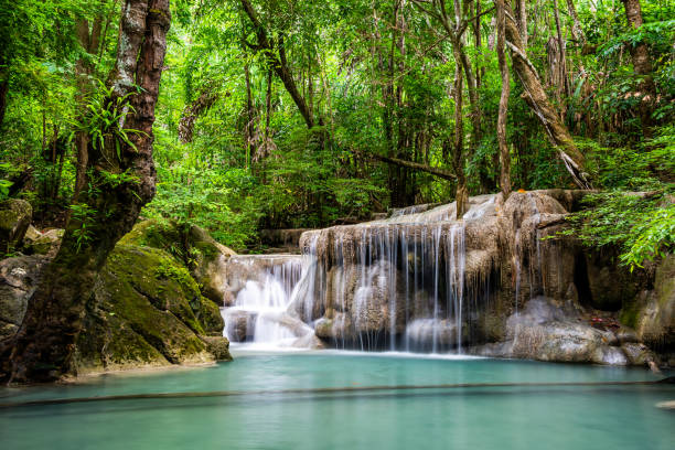 cascade au printemps avec couleur d’eau émeraude bleue dans le parc national d’erawan - waterfall tropical rainforest erawan thailand photos et images de collection