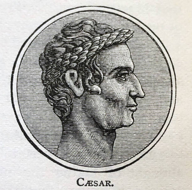 Antique illustration - World History - portrait of Julius Caesar vector art illustration
