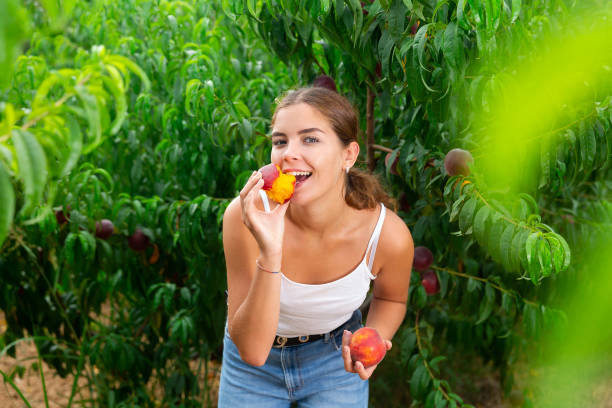 istock Girl biting fresh peach 1333972295