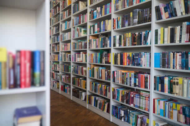 istock Shelving units packed with academic and modern light literature 1333972871