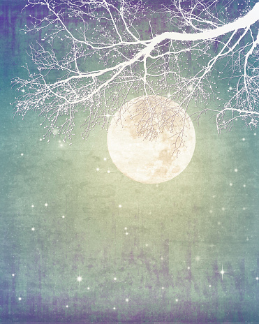 Dreamy Fantasy Moon, Tree Silhouette, Stars with Copy Space - Atmospheric Mood. Elements of this image furnished by NASA. - Source:  Supermoon - 201408100002HQ_orig URL: https://www.nasa.gov/sites/default/files/201408100002hq.jpg