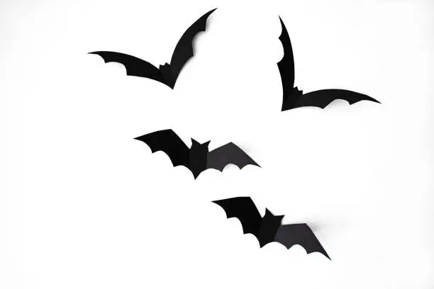 halloween, decoration and scary concept - black paper bats flying over white background. Halloween paper bats on white background. Halloween decorations on white background. Halloween concept.