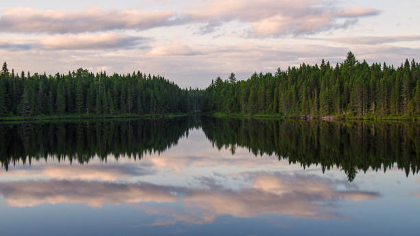 istock Beautiful deep wood lake at sunset, Quebec, Canada 1333979566