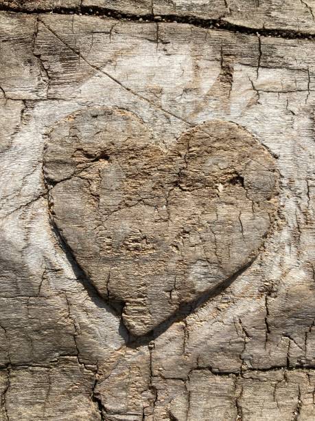istock Heart shape carved in wood macrophotography. 1333980360