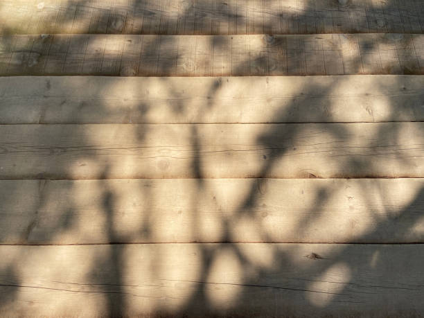 Outdoors wooden flooring with tree shadows and sunlight reflection
