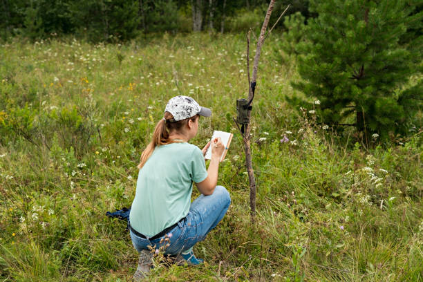 istock Young woman scientist zoologist writing down data from trap camera to notepad, observing wild animals in taiga forest, monitoring of rare and endangered animal species, ecology World Wildlife Day 1333982934