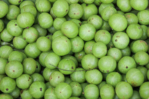 istock Indian gooseberry or aamla  piled up 1333984126