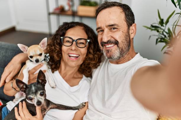 Middle age hispanic couple smiling happy making selfie by the camera. Sitting on the sofa with dogs at home.