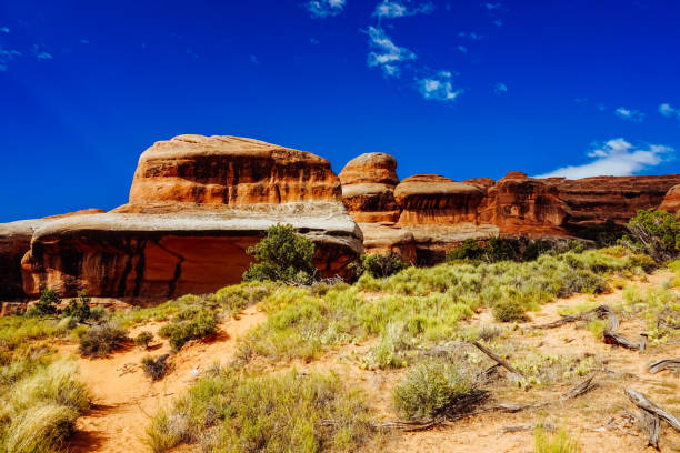 istock Historic Layers in Arches National Park 1333987123