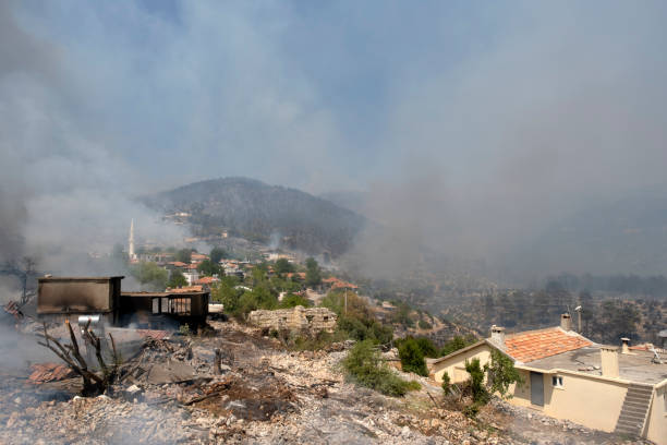 istock Village in Manavgat Forest Fire 1333988471