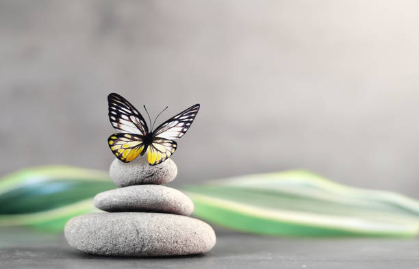 istock Spa stones with palm leaf and butterfly on grey background. 1333995196