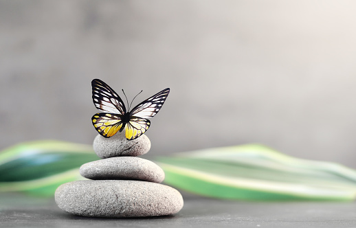 Spa stones with palm leaf and butterfly on grey background. Spa concept.