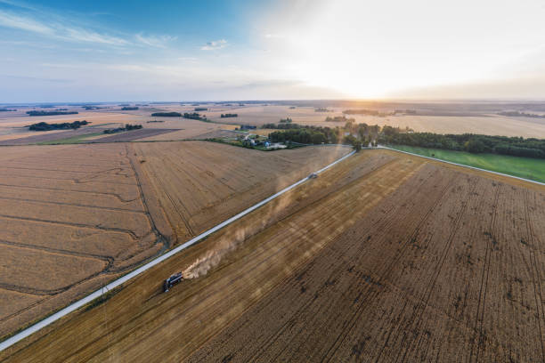 istock Cereal fields in Zalenieku parish, Abgunste, Latvia 1333996008